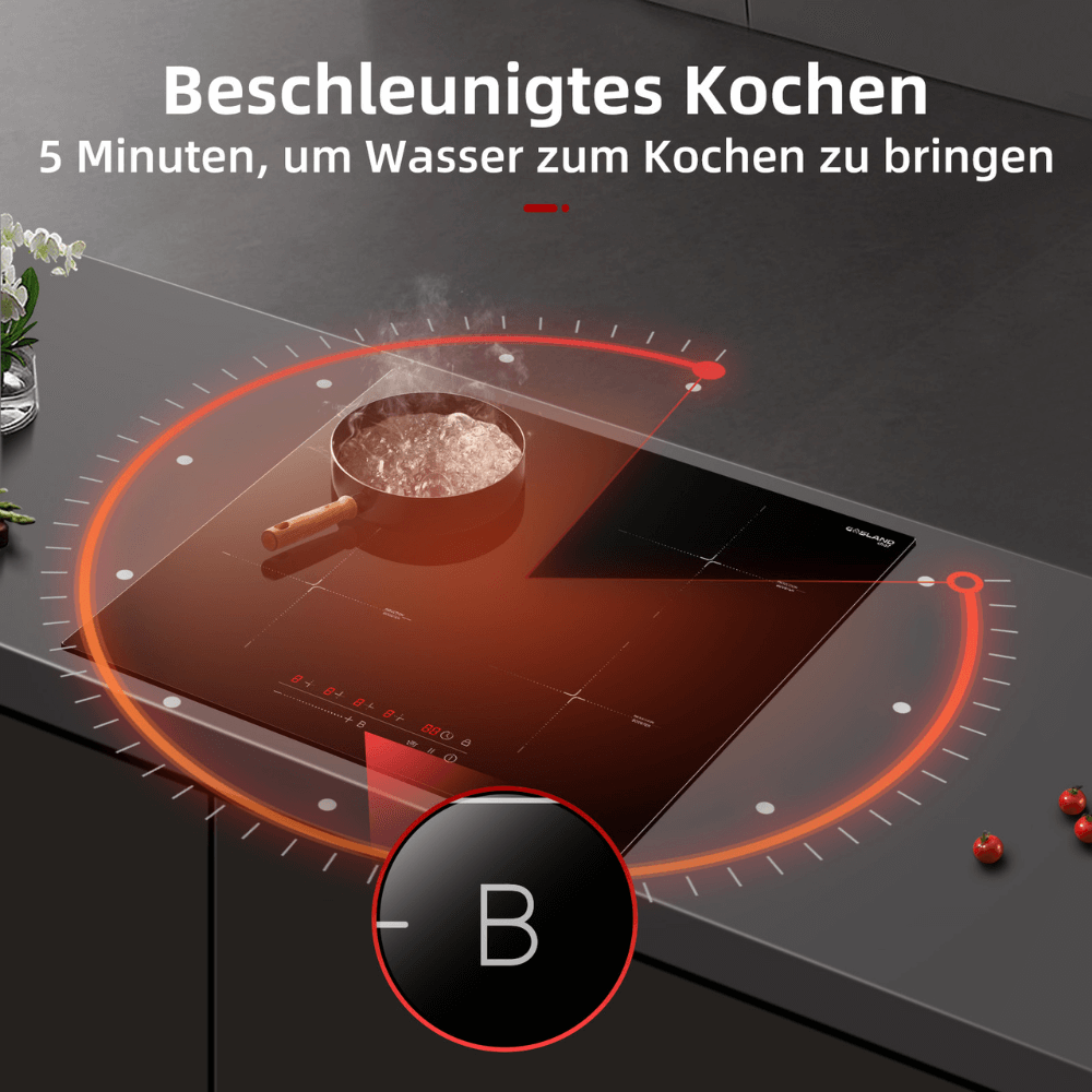 Touch-inductiekookplaat van 60 cm