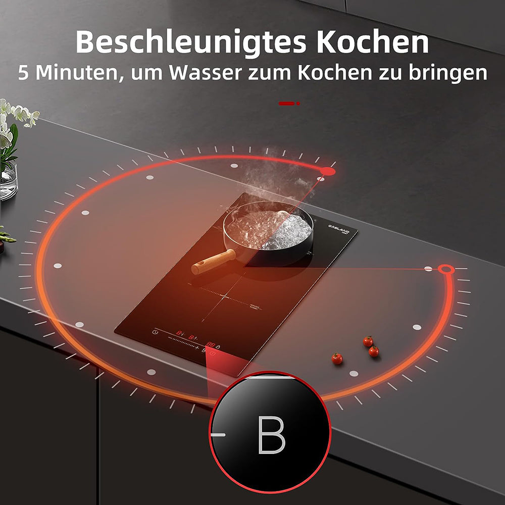 30cm Induktions Kochfeld